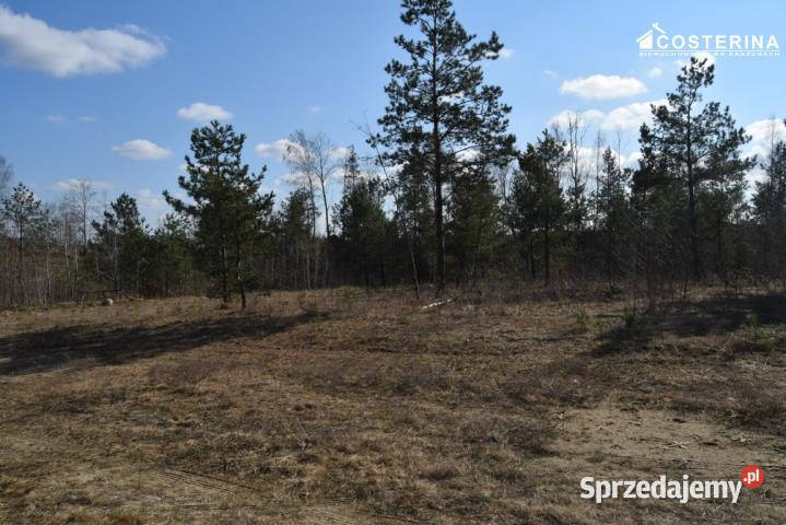 Sprzedam działka Parchowo 1312m2 utwardzona pomorskie