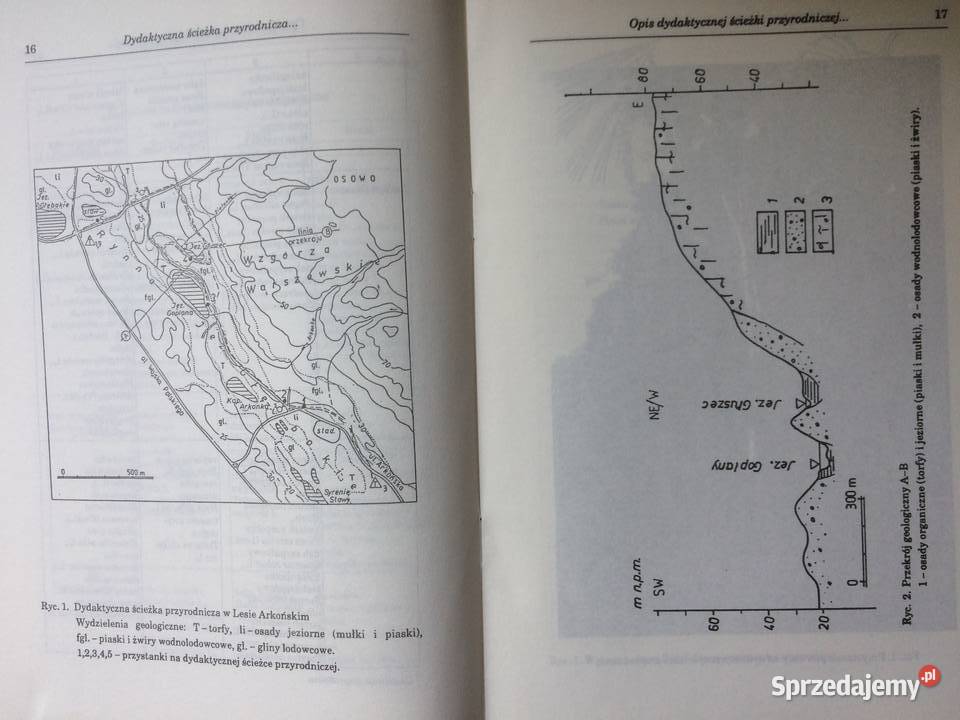 3481 Ścieżka Przyrodnicza W Lasku Arkońskim Szczecin