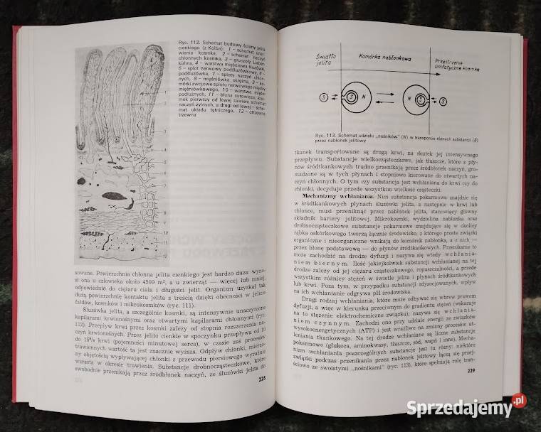 Fizjologia zwierząt Książki naukowe i popularnonaukowe Bełchatów