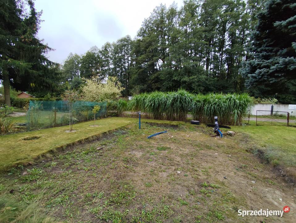 Sprzedam działkę ROD Przypki mazowieckie