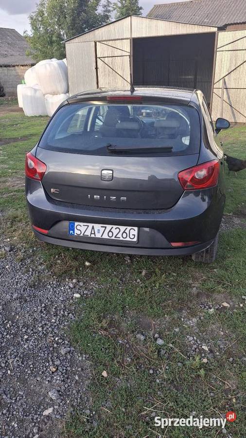 seat ibiza Kleszczowa