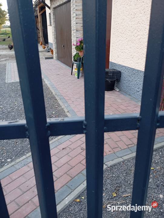 Brama wjazdowa i furtka Bramy Jędrzejów sprzedam