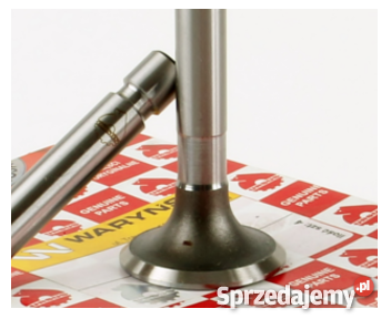 Zawór ssący głowicy MF 3 ORYGINAŁ nieuszkodzony Parczew sprzedam