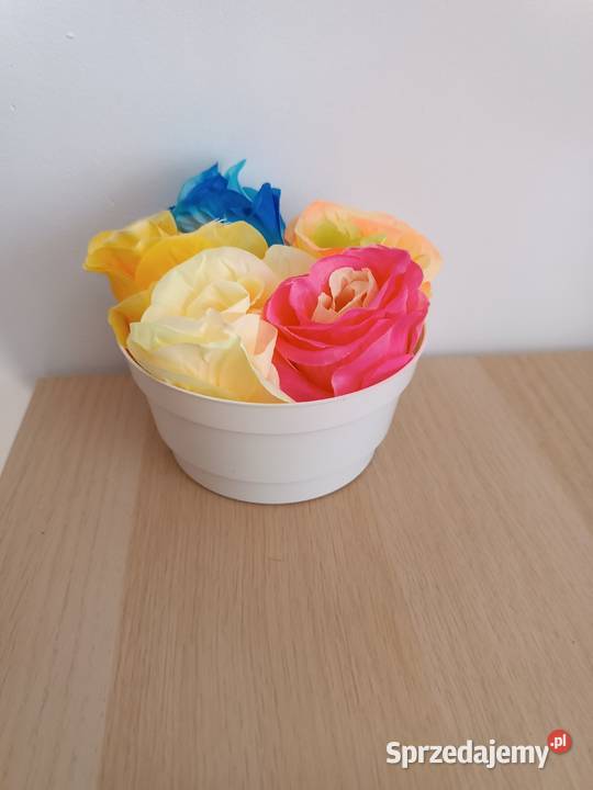 Róże rozwinięte 8 5902388316 AD BK kolory kwiaty Zagnańsk