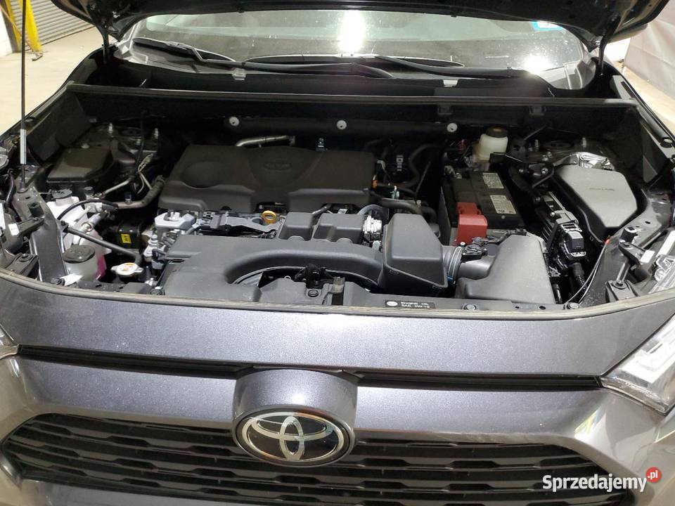 2025 TOYOTA RAV4 XLE śląskie Częstochowa