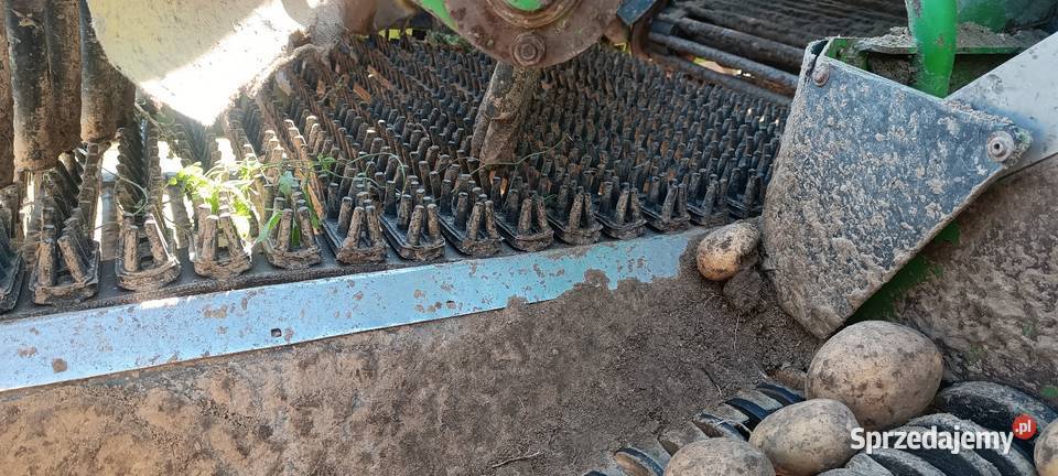 Kombajn do ziemniaków Wuhlmaus 1433P Kombajny Smoniowice sprzedam