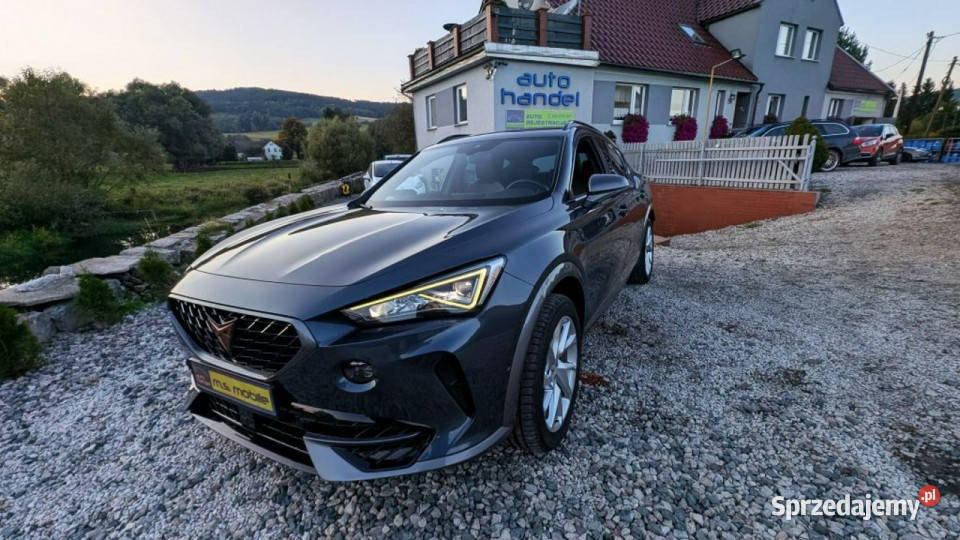 Cupra Formentor Ambiente Grzana Kierownica światła przeciwmgielne Kamienna Góra