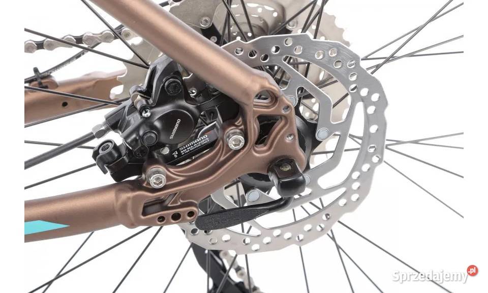 Rower elektryczny ROMET ERAMBLER E90 Mokkaturkus