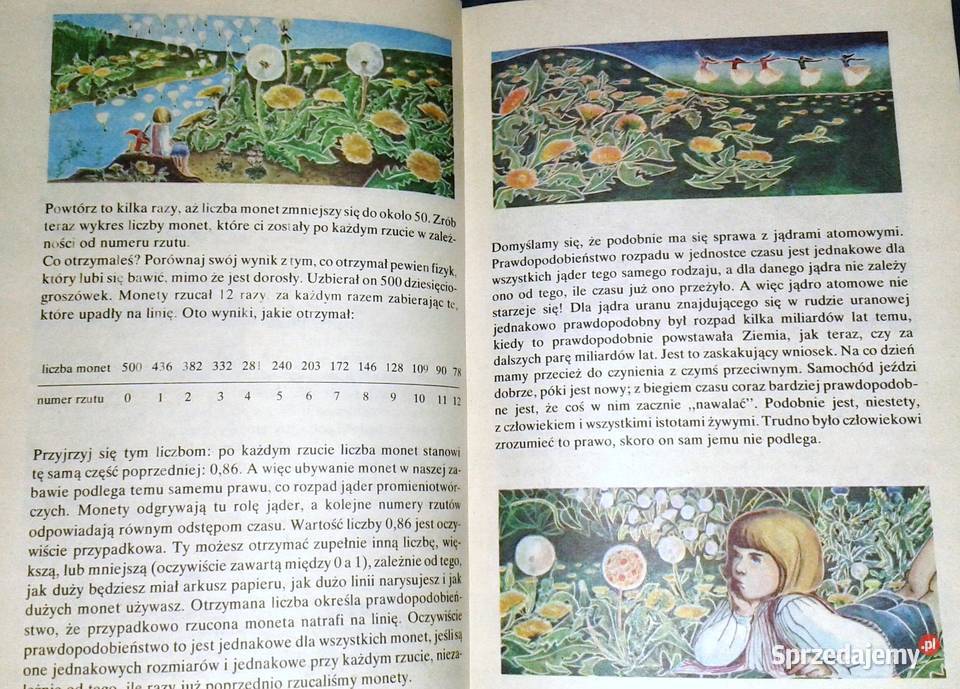 Czy umiecie się dziwić Jerzy Ginter miękka Pozostałe lubelskie Chełm