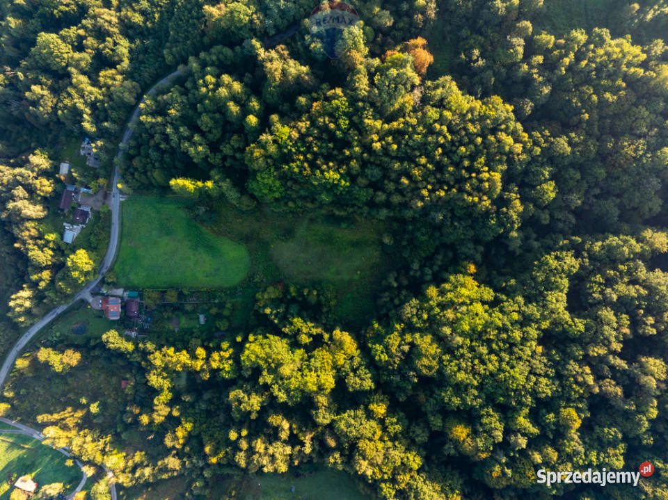 Działka 14 ha Włosań gmina Mogilany