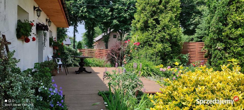 Siedlisko Rodowe Lechja sprzedam