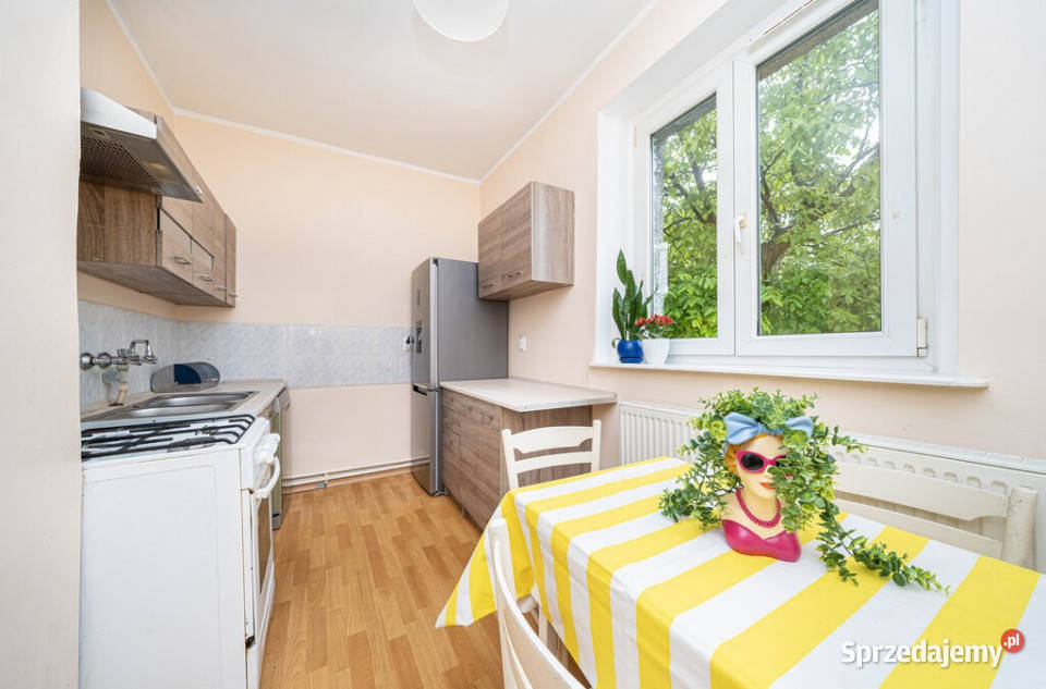 Poznań Jeżyce Źródlana mieszkanie z dużym
