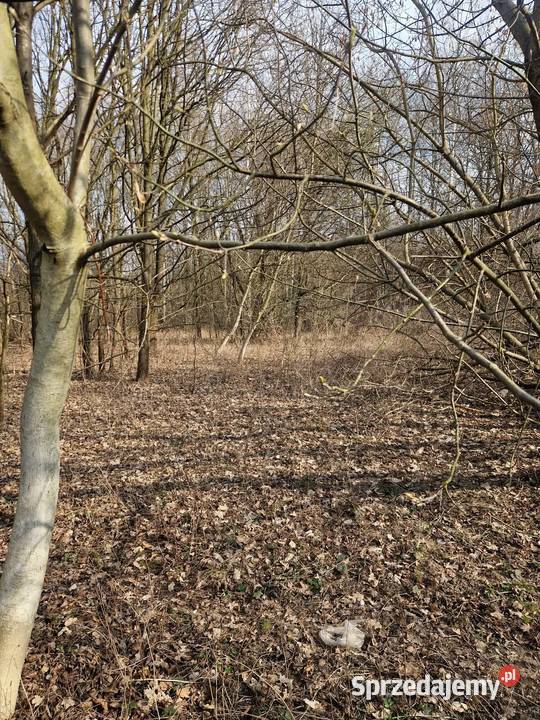 Działka grunty rolne