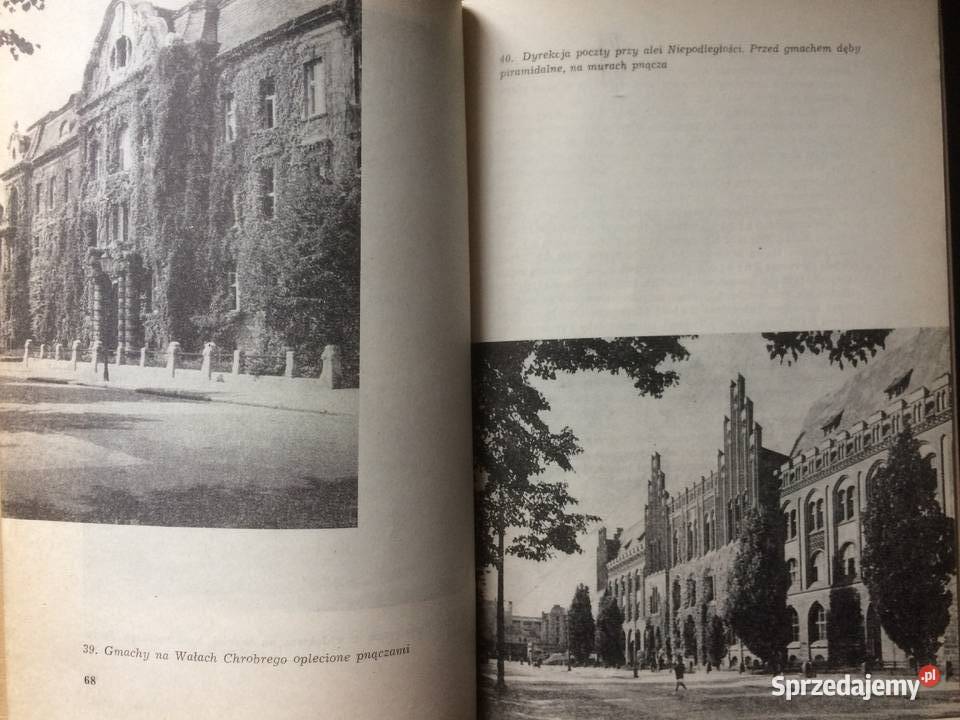 3302 Szczecin Miasto Parków I Zieleni sprzedam