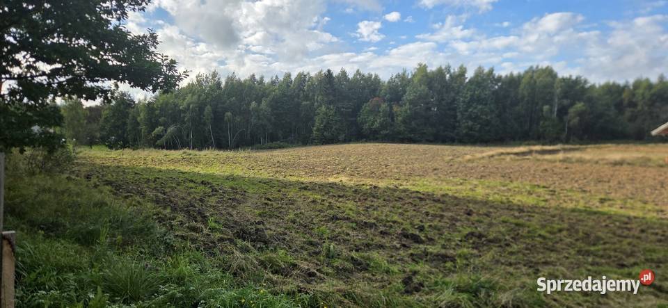 Sprzedam działkę w Kameli 1000m2 Kamela