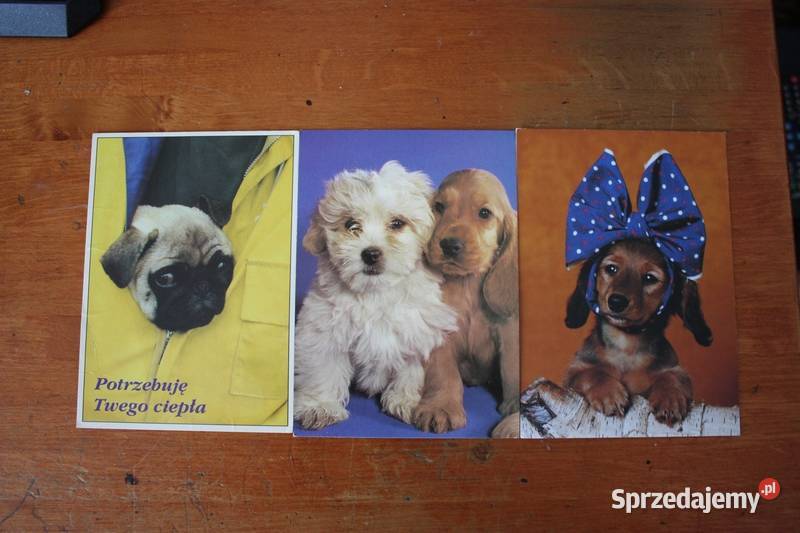 9 pocztówek z sympatycznymi pieskami Warszawa sprzedam