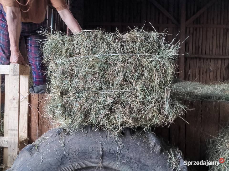 na sprzedaż posiadam siano Wielowieś