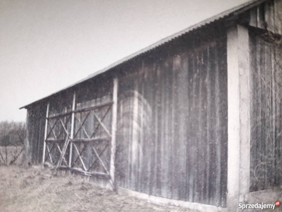 Sprzedam dom Piszczac Pierwszy