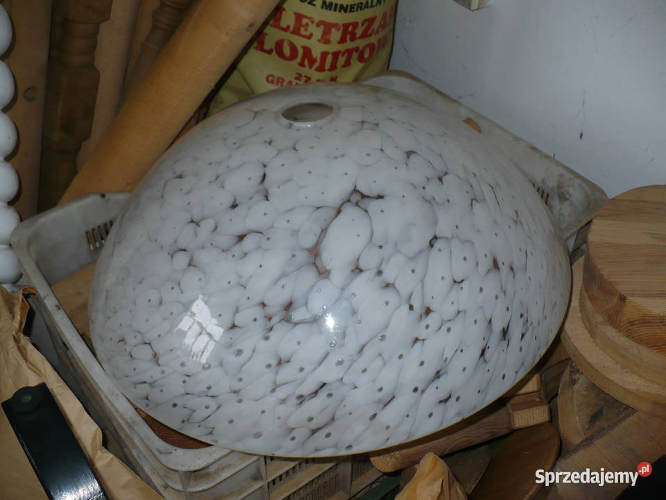 2 sztuki dużych kloszy wielkopolskie Puszczykowo