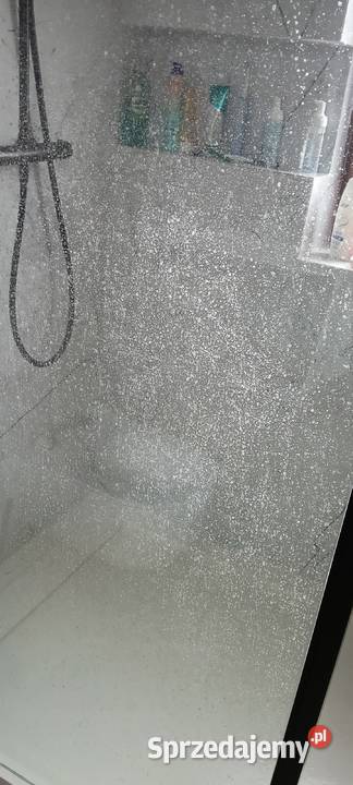 sprzątanie różnego rodzaju pomieszczeń Września