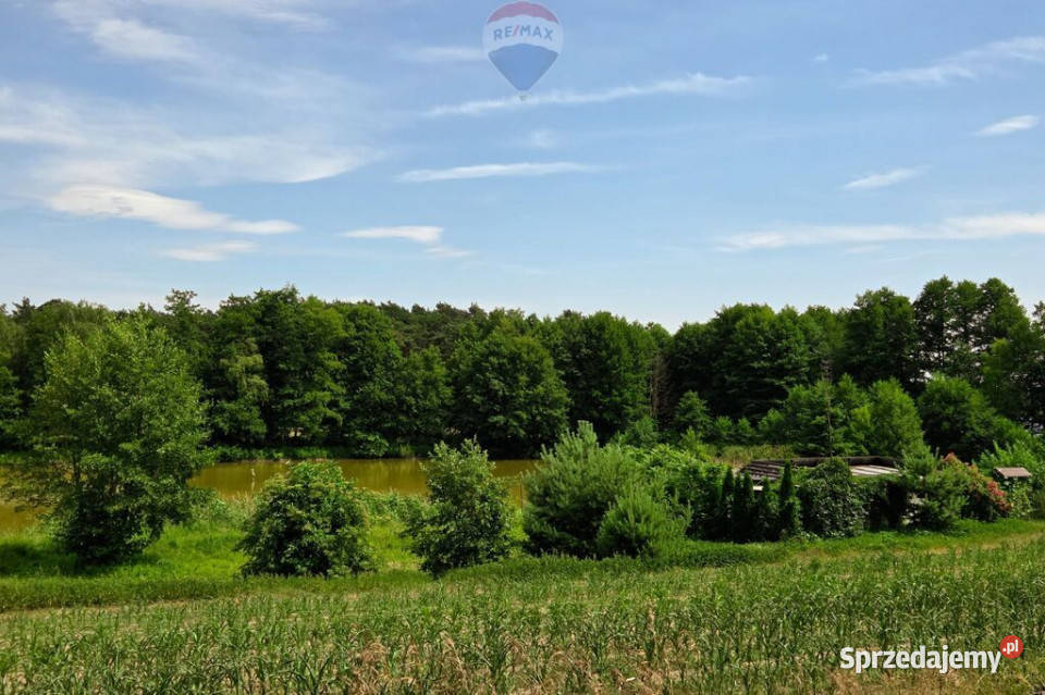 Działka jeziorze Pniew Buszewo
