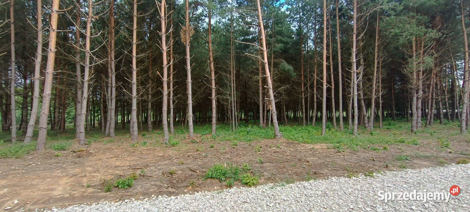 sprzedaży gruntu 2197m2 Daleszyce