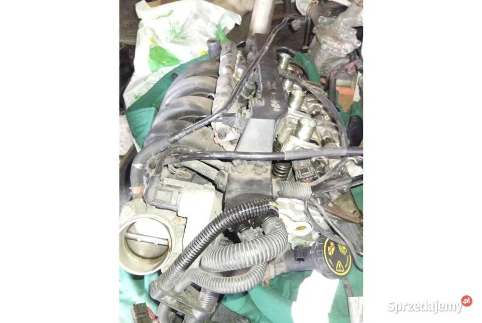 Głowica kompletna Mini Cooper R50 benzyna 2004 Kamieńsk