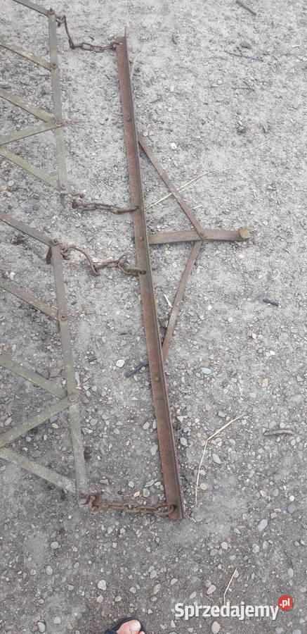 Brony konne stan Sarzyna