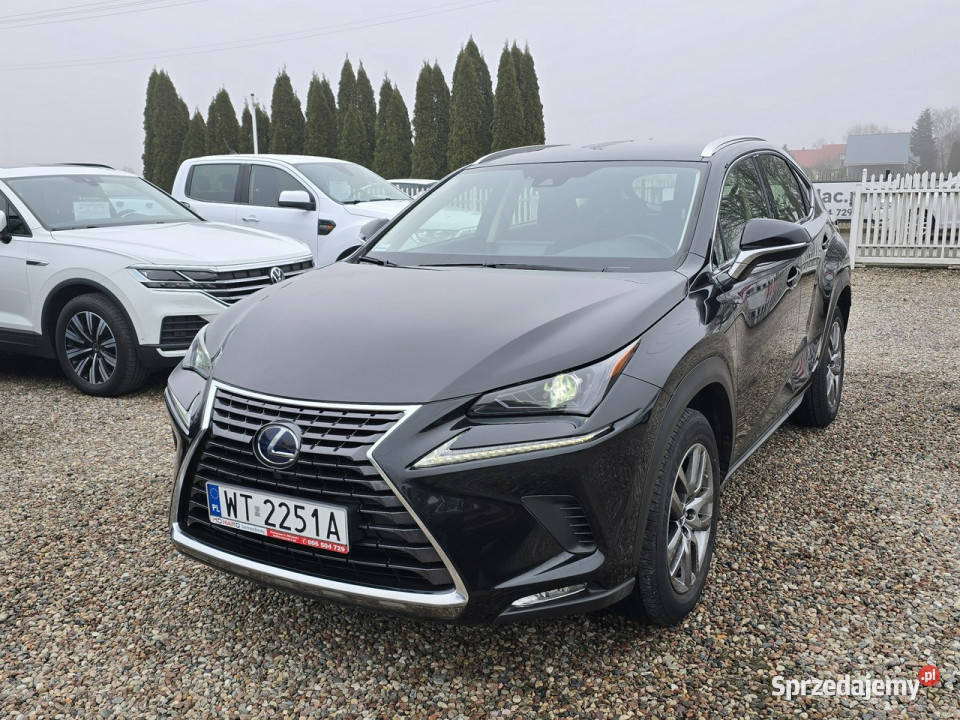 Lexus NX 300h HYBRID AWD 4x4 Elegance Salon gniazdo USB NX NX kujawsko-pomorskie
