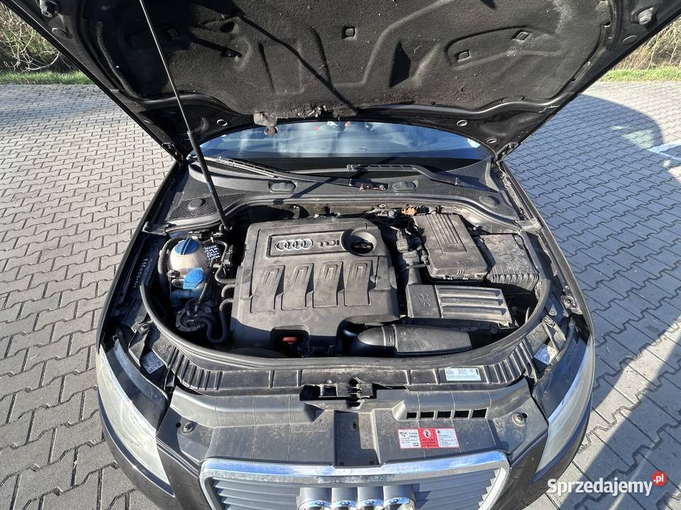 Audi A3 8PA 16TDI 105 Żarki