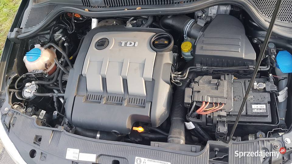 Seat Ibiza 12 TDI CR Ecomotive Style 75KM lubelskie