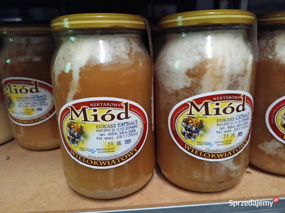 Miód z przydomowej pasieki