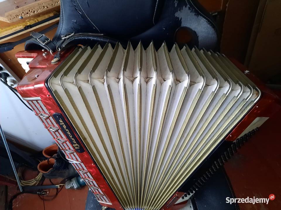 dzis w sprzedaży akordeon barccarola 120 basow