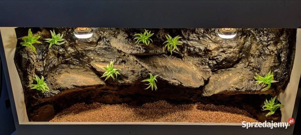 Terrarium hodowlane gekona lamparciego żółwia Tczew