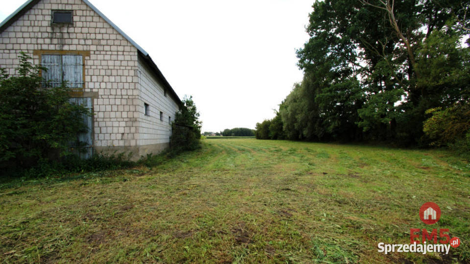 Lokal Jeńki 150m2