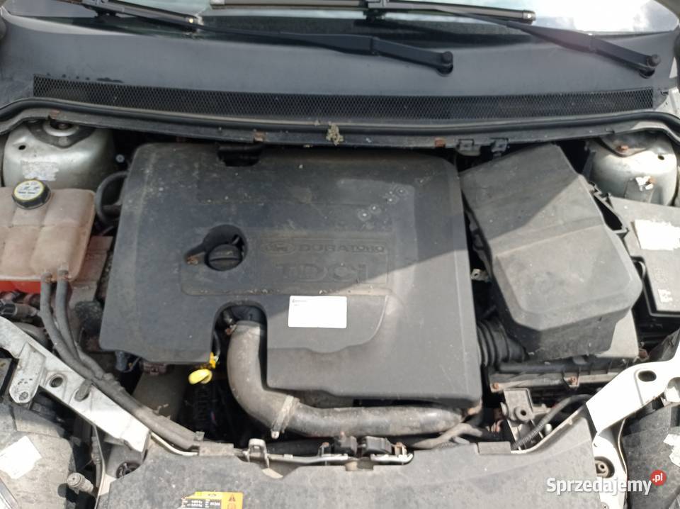 Ford Focus 16 Kombi 80 kW 2006 r dawca części Szklarka Myślniewska