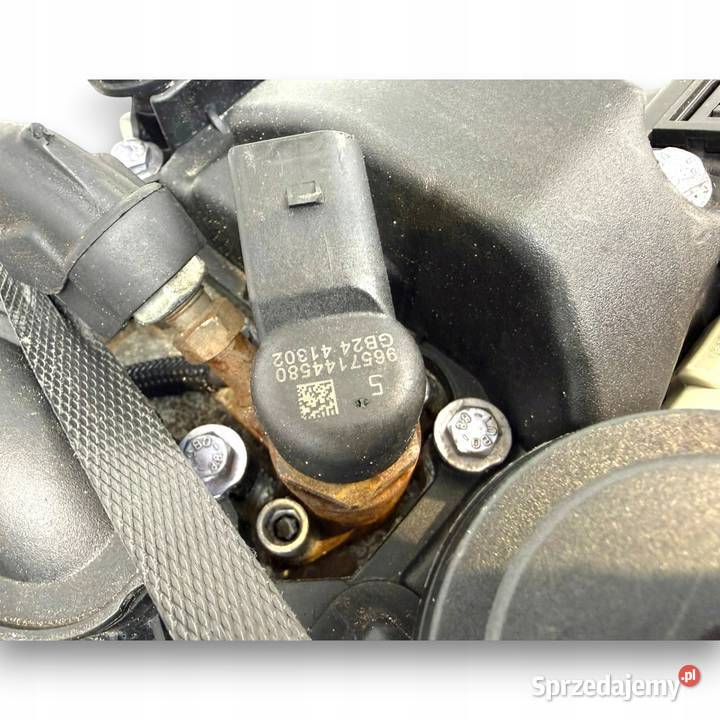 SILNIK G6DB Ford C C Focus MK2 20 TDCI 136 osobowe sprzedam