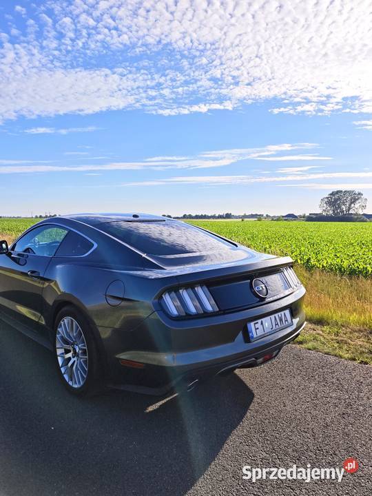 Ford Mustang GT Premium Swarzędz sprzedam