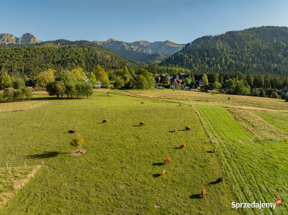 Działka rolna 3115 m Kościelisko sprzedam