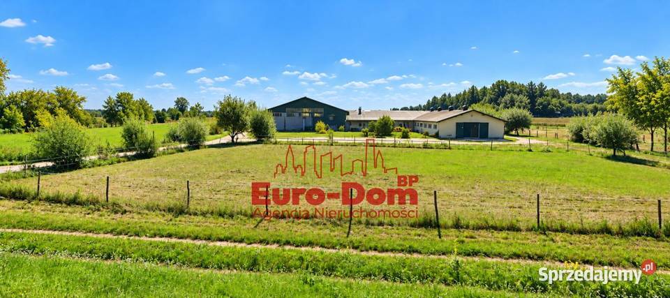 Renomowana stajnia na sprzedaż Sprzedaż Pruszków
