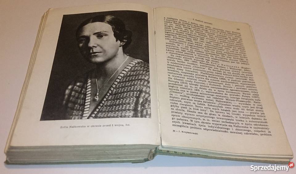 Julian Krzyżanowski Dzieje Literatury Polskiej Rogoźnik