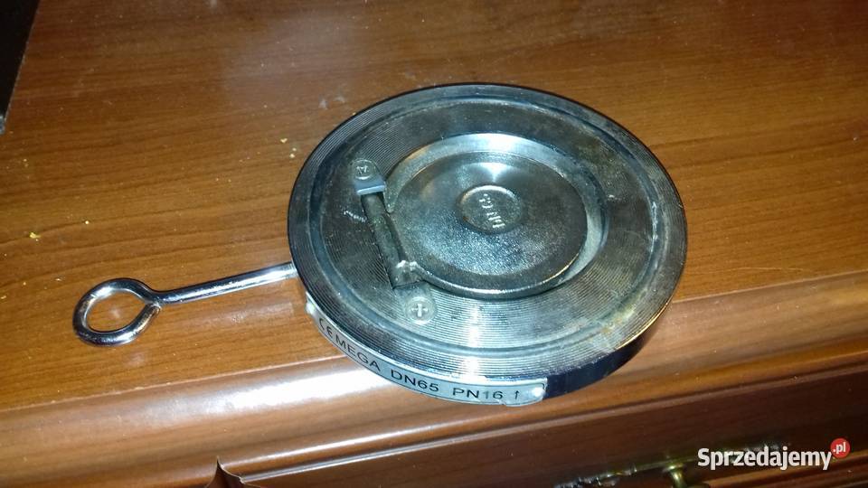 Zawów zwrotny klapowy Biznes i Przemysł Poznań