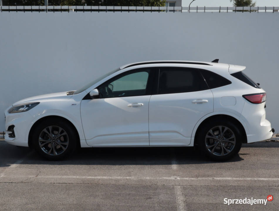 Ford Kuga 20 EcoBlue mHEV Lublin