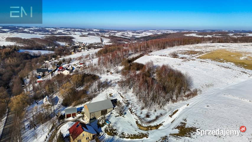 Działka Jaszczurowa 5300 metrów 5300m2 Sprzedaż podkarpackie