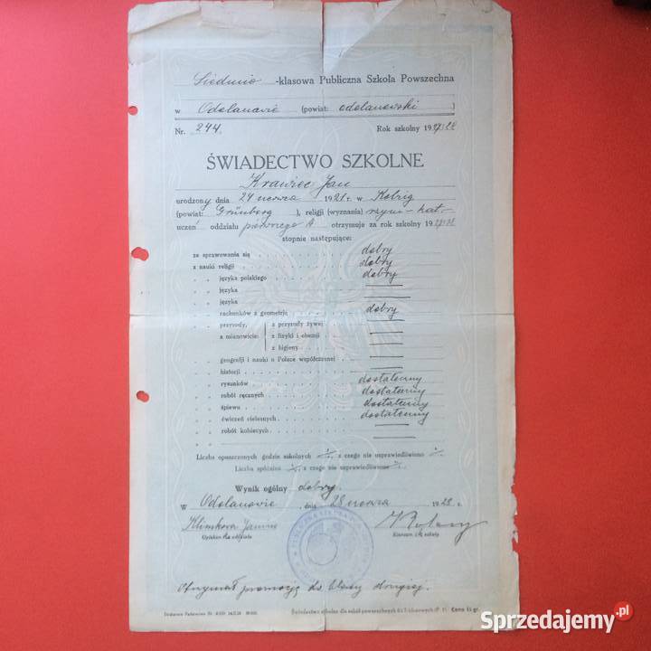 1799 Świadectwo Szkolne Odolanów 2 Krawiec Szczecin sprzedam