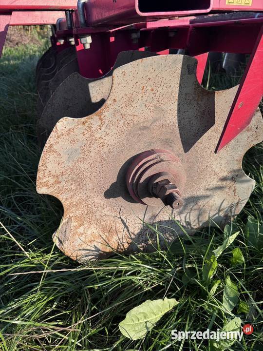 Talerzówka Włocławek