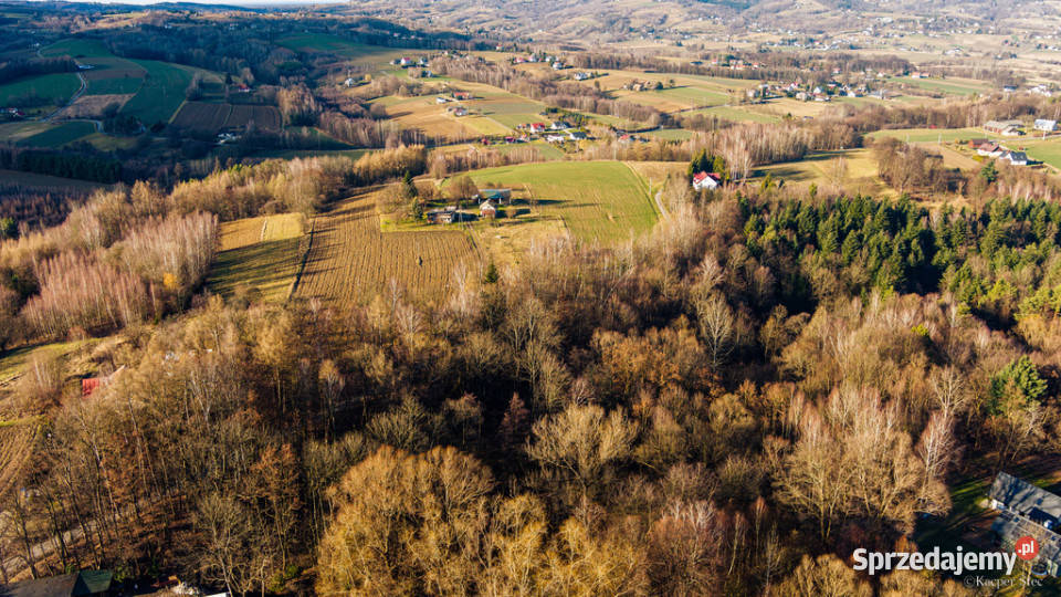 Działka budowlana 623 ar Tuchów A7