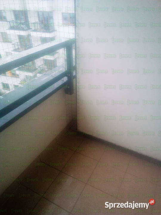 Siatka na balkon przeciw gołębiom z montażem Pozostałe Warszawa usługi dla zwierząt