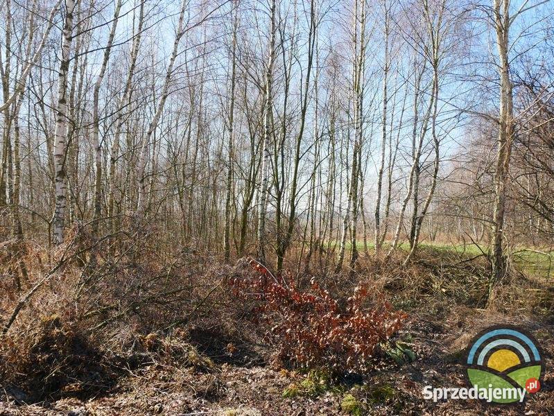 Morawica gm Liszki dzialka 2803 m2 pod produkcję 27m