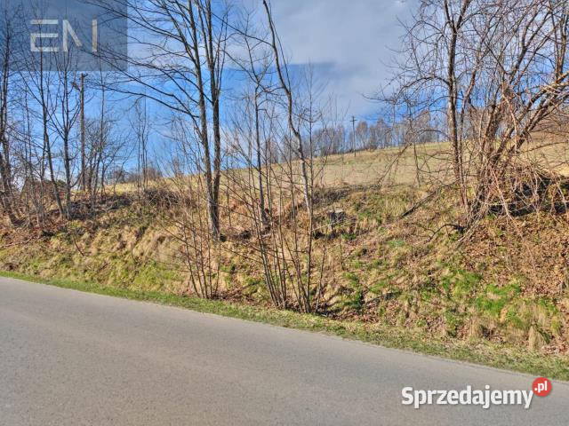 sprzedaży gruntu Wesoła 2500m2 Nieruchomości
